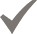 Gray check icon